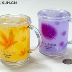 421枫叶双层杯